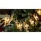 Celebrations Celebrations LED Micro/5mm Warm White 10 ct String Christmas Lights 17.72 ft. 774325-1 - alternate 2